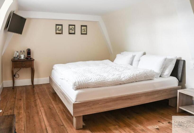 חדר סטנדרט, Manoir De La Côte Dieu