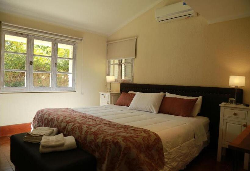 اتاق استاندارد, La Masia