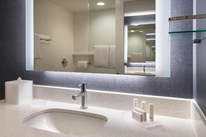 带大床的套房, Residence Inn By Marriott Lancaster
