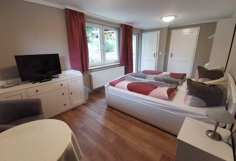 Номер Стандарт с Террасой, Pension Am Nicolaiplatz