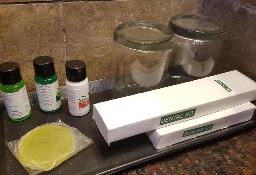 חדר סופריור, The Darien Resort