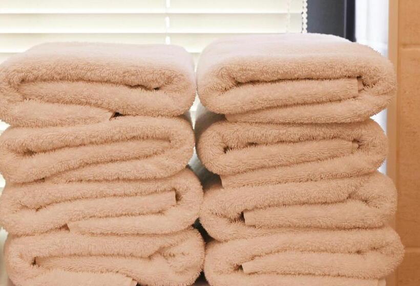 شقة ديلوكس غرفة واحدة, Landlord Bij Leuven