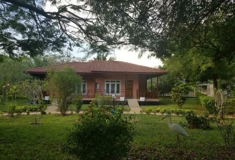 اتاق استاندارد با چشم‌انداز باغ, Charlestina Beach Resort