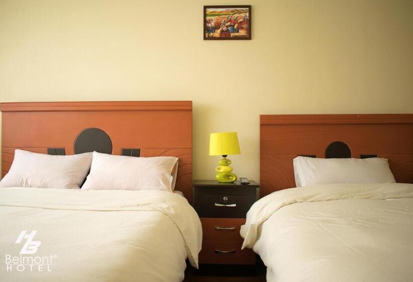 اتاق خانوادگی با سرویس بهداشتی مشترک, Belmont B&b