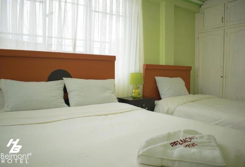 اتاق خانوادگی با سرویس بهداشتی مشترک, Belmont B&b