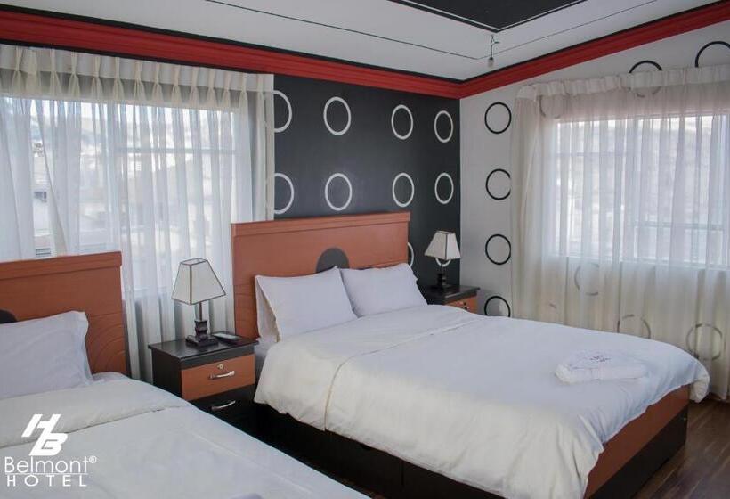 اتاق خانوادگی با سرویس بهداشتی مشترک, Belmont B&b