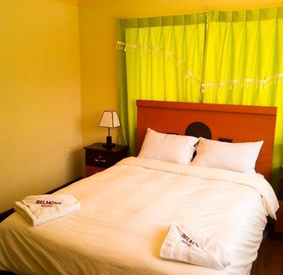 اتاق استاندارد با سرویس بهداشتی مشترک, Belmont B&b