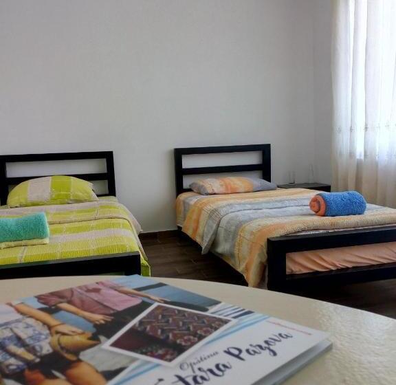 اتاق استاندارد با تراس, Hedonist