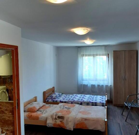 اتاق استاندارد چهار تخته, Hedonist