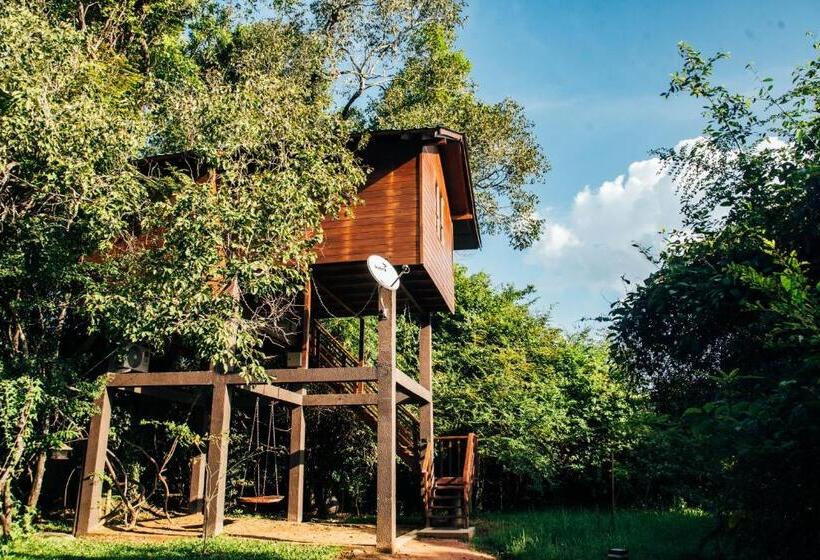 산 전망 스위트, Sigiriya King S Resort