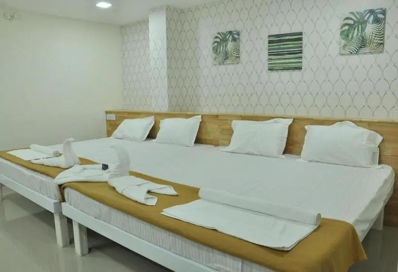 Chambre Standard, Aditis