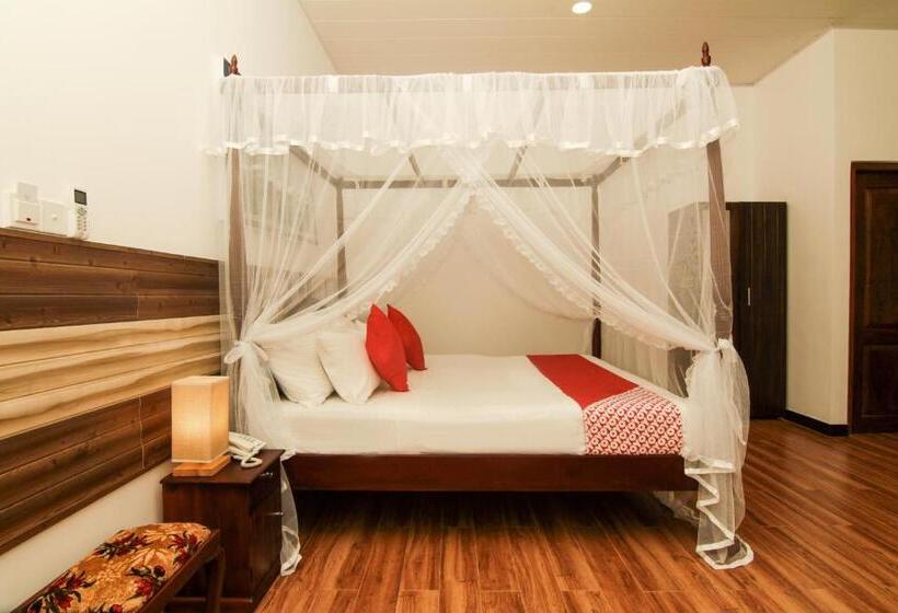 جناح عائلي, Clove Transit