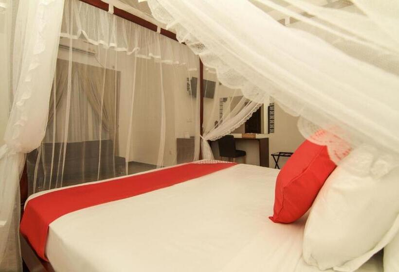 جناح عائلي, Clove Transit