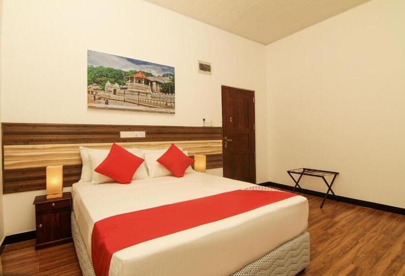 إستوديو ديلوكس, Clove Transit