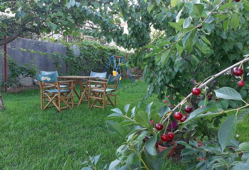 آپارتمان 1 خوابه, Nijona 1