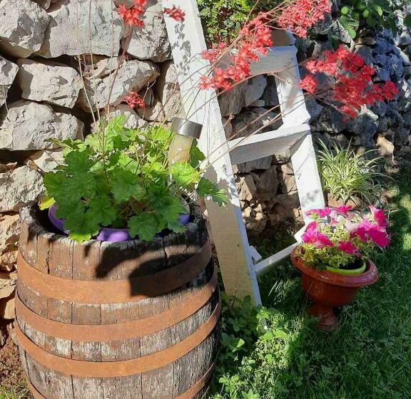 آپارتمان 1 خوابه, Nijona 1