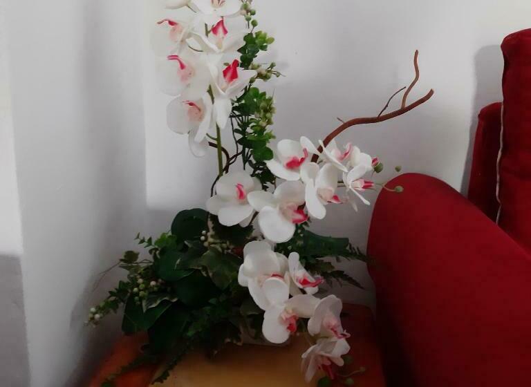 آپارتمان 1 خوابه, Nijona 1