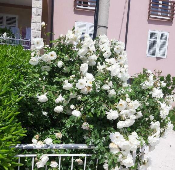 آپارتمان 1 خوابه, Nijona 1