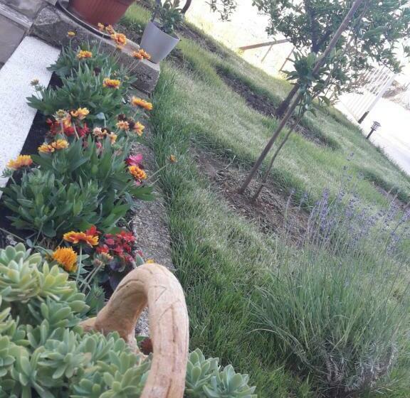 آپارتمان 1 خوابه, Nijona 1