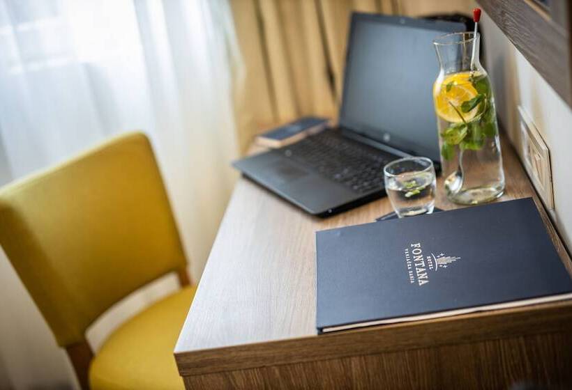 اتاق سوپریور, Fontana Vrnjačka Banja