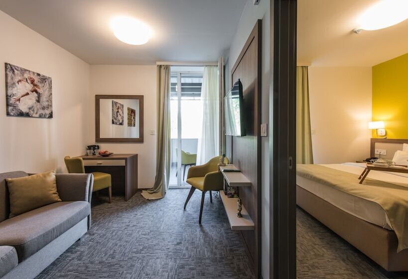 Suite with Terrace, Fontana Vrnjačka Banja