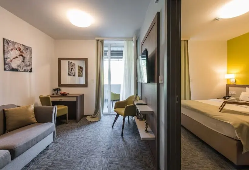 Suite with Terrace, Fontana Vrnjačka Banja