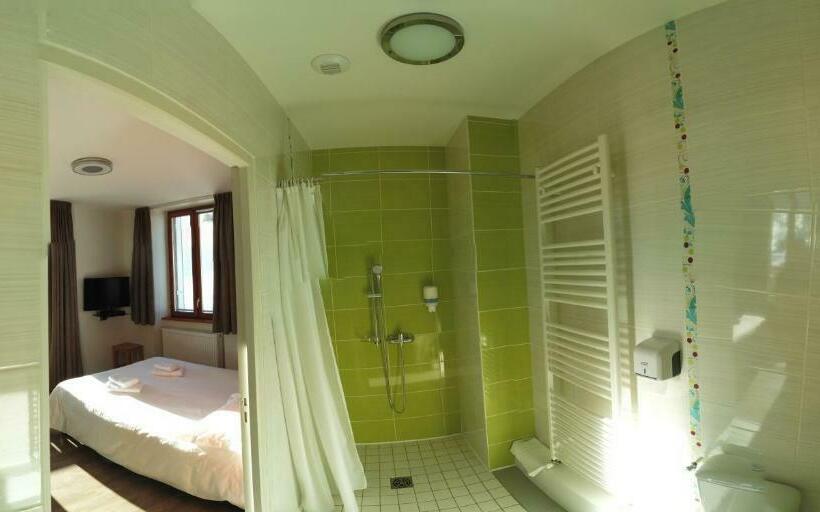 Номер Стандарт Адаптированный для Инвалидов, Hôtel Du Soleil