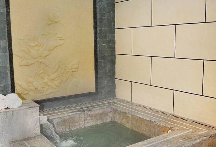 豪华房间, Palace International Hot Spring