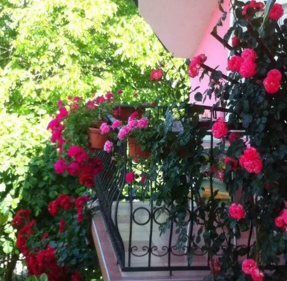 اتاق استاندارد اینتریور, Biser Apartmani