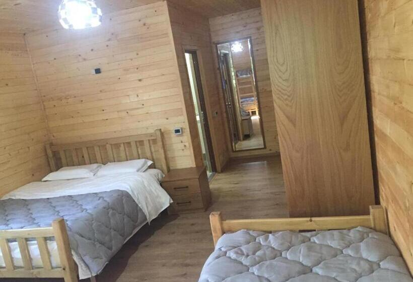اتاق استاندارد سه نفره, Guesthouse Demushi
