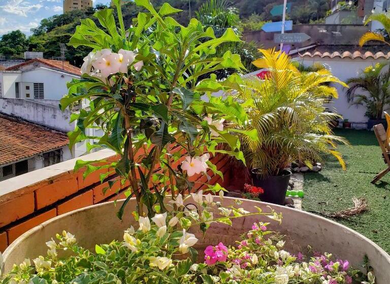 اتاق استاندارد, Roof Hostel