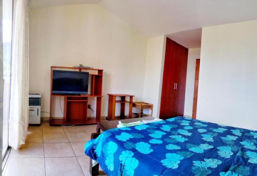 اتاق استاندارد, Roof Hostel