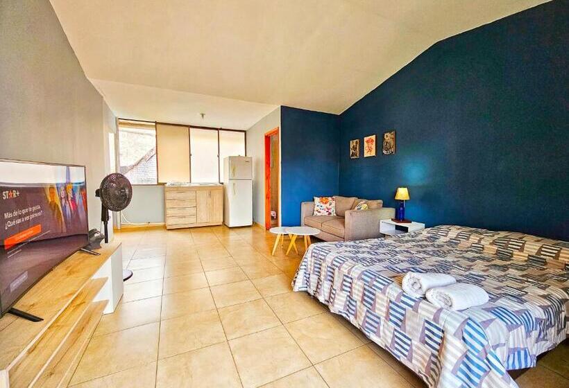 استودیو استاندارد با بالکن, Roof Hostel