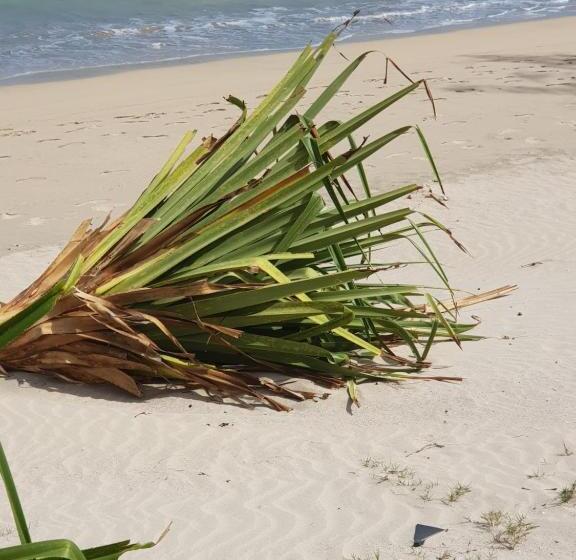 اتاق لوکس با چشمانداز دریا, Villa Océane
