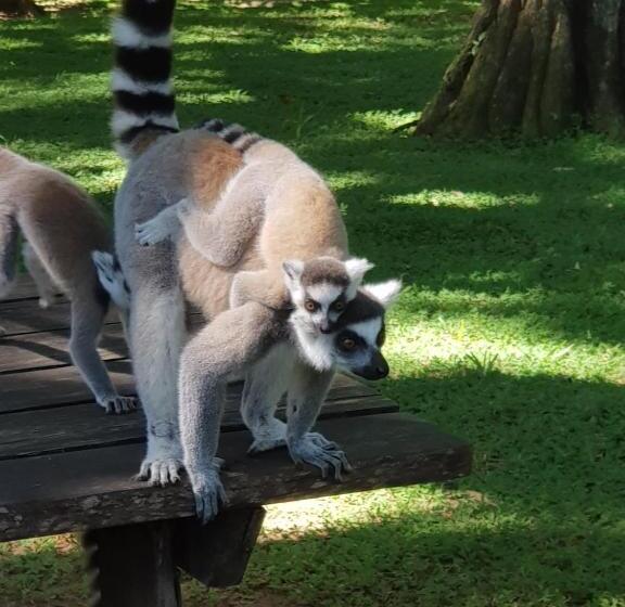 اتاق لوکس با چشمانداز دریا, Villa Océane