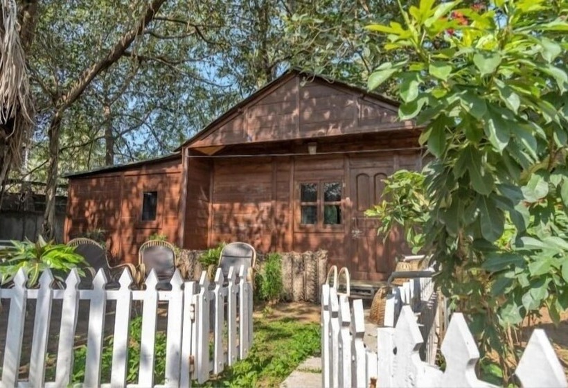 标准工作室, Kings Villa Resort