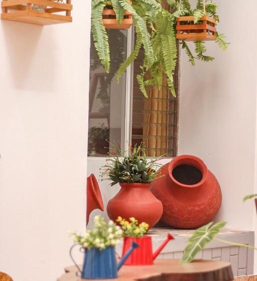 اتاق لوکس با تخت بزرگ, Rio Mayo