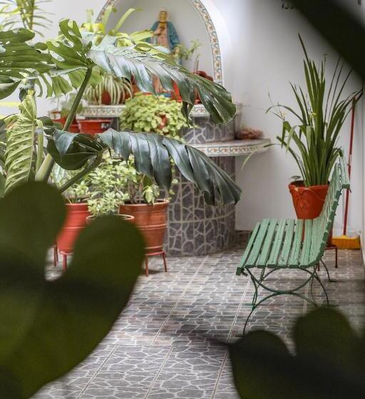 اتاق سوپریور, Rio Mayo