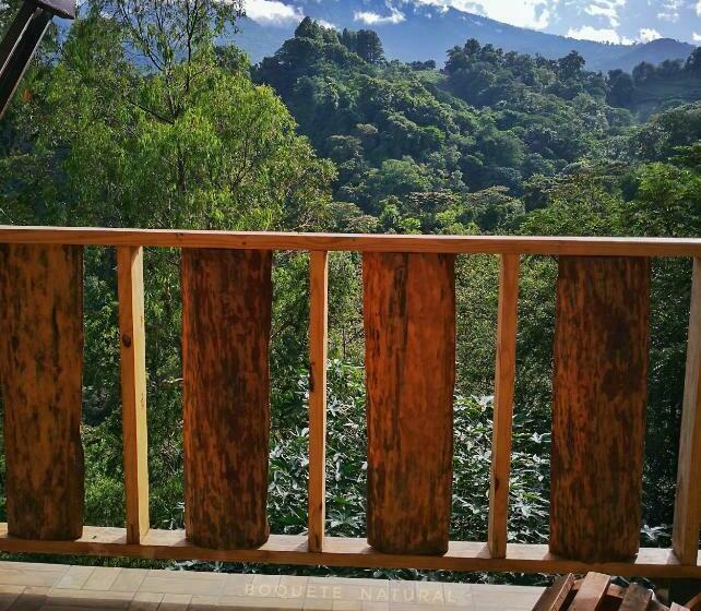 اتاق استاندارد, Eco Horqueta