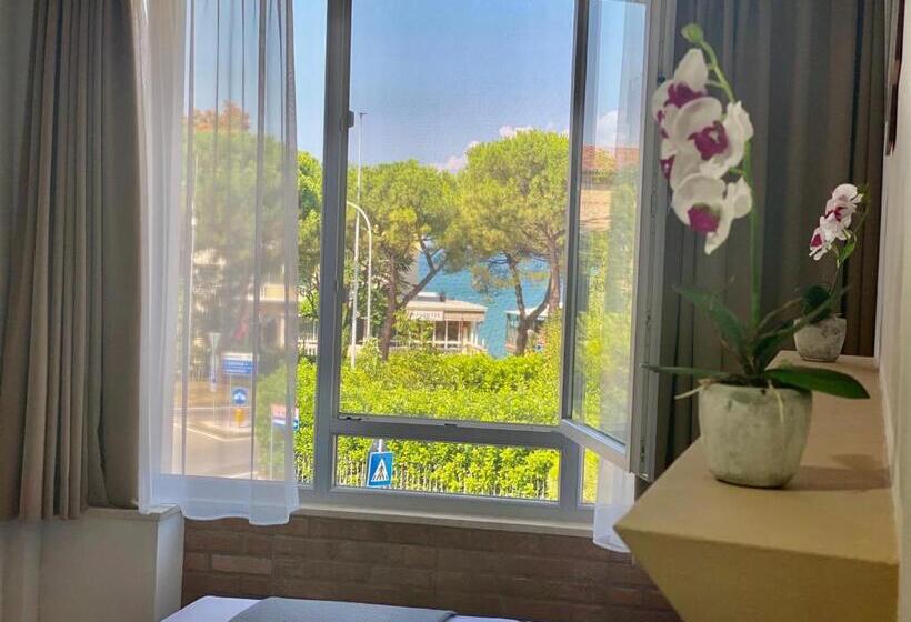 Номер Стандарт, Atico