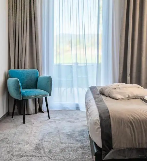 景色の見えるデラックスルーム, Best Western Plus Hotel & Restaurant Les Humanistes Colmar Nord