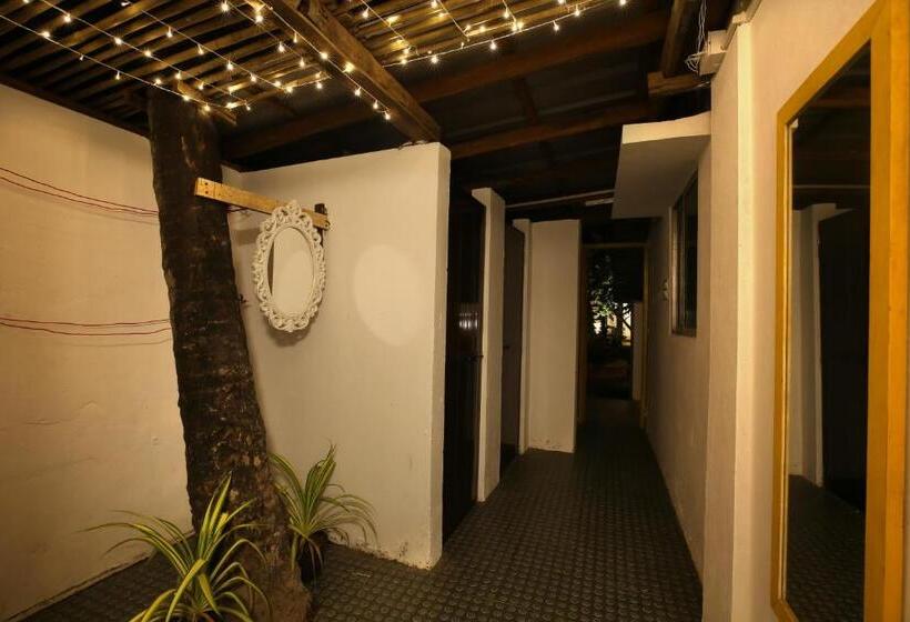 共用房间的床, Craft Hostels