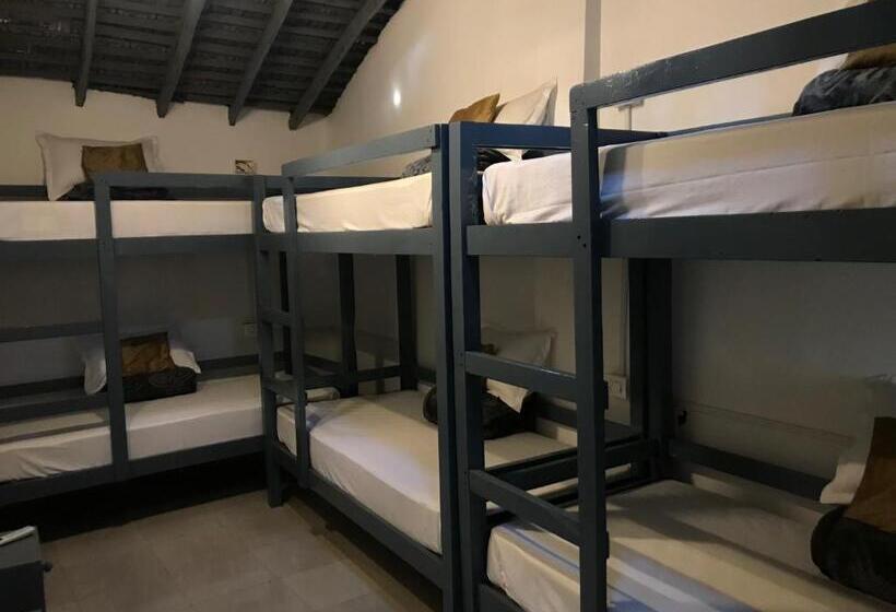 共用房间的床, Craft Hostels