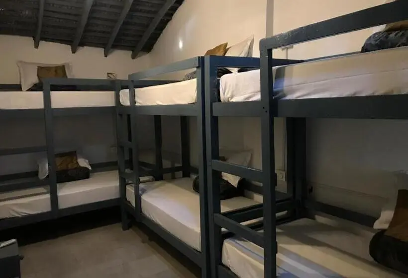 Cama em Quarto Partilhado, Craft Hostels