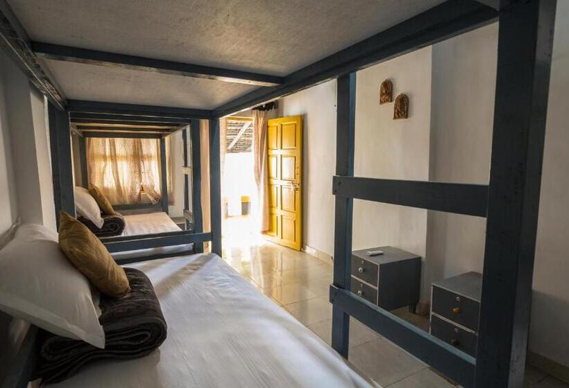 共用房间的床, Craft Hostels