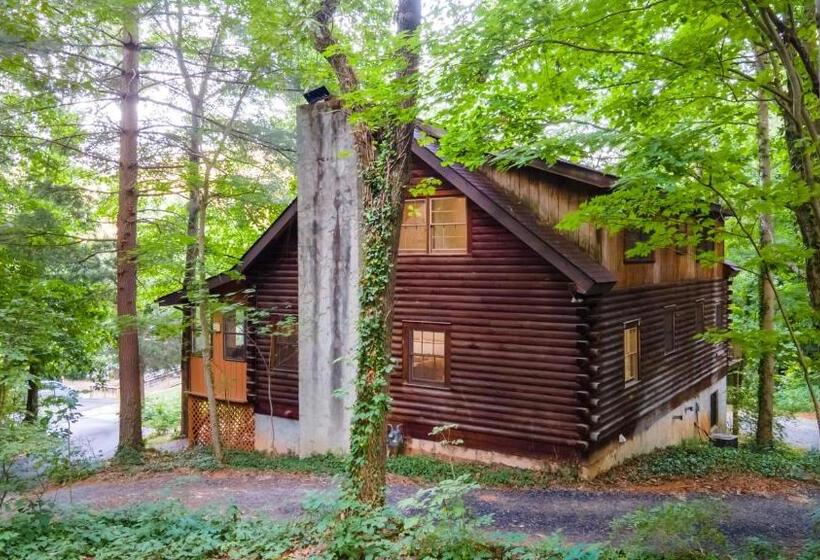 غرفة قياسية, Log Cabin Motor Court