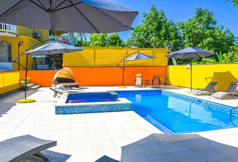 سوییت, Takuma Boutique Hotel Rooms & Suites Jamaica