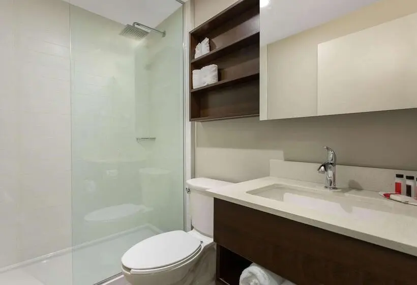 ビジネスルーム, Microtel Inn & Suites By Wyndham Mont Tremblant