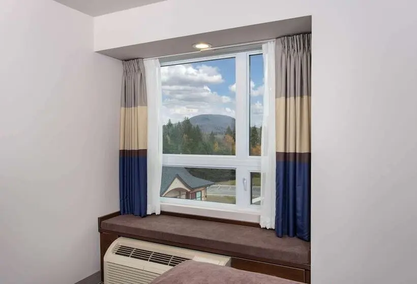 ビジネスルーム, Microtel Inn & Suites By Wyndham Mont Tremblant