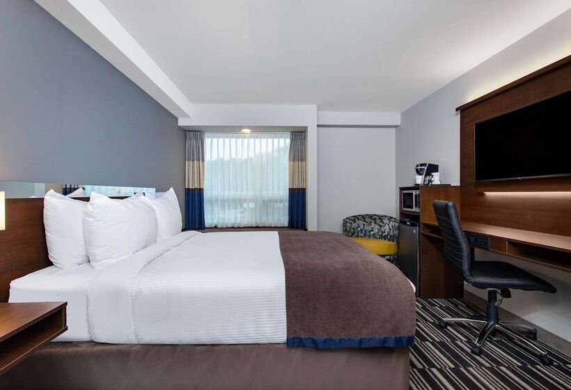 ビジネスルーム, Microtel Inn & Suites By Wyndham Mont Tremblant